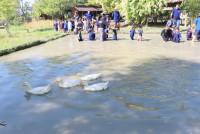 Little Farmer สำหรับนักเรียนชั้น อ.1/2568