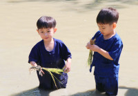 Little Farmer สำหรับนักเรียนชั้น อ.1/2568