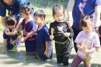 Little Farmer สำหรับนักเรียนชั้น อ.1/2568