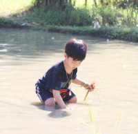 Little Farmer สำหรับนักเรียนชั้น อ.1/2568