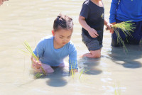 Little Farmer สำหรับนักเรียนชั้น อ.1/2568