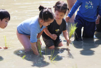 Little Farmer สำหรับนักเรียนชั้น อ.1/2568