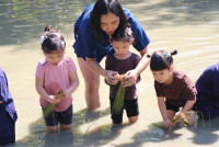 Little Farmer สำหรับนักเรียนชั้น อ.1/2568