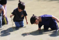 Little Farmer สำหรับนักเรียนชั้น อ.1/2568