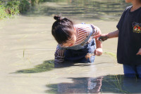 Little Farmer สำหรับนักเรียนชั้น อ.1/2568