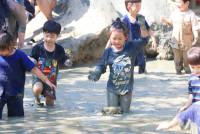 Little Farmer สำหรับนักเรียนชั้น อ.1/2568