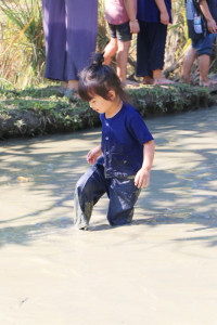 Little Farmer สำหรับนักเรียนชั้น อ.1/2568