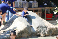 Little Farmer สำหรับนักเรียนชั้น อ.1/2568