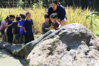 Little Farmer สำหรับนักเรียนชั้น อ.1/2568