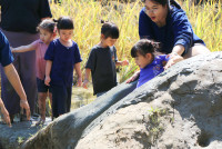 Little Farmer สำหรับนักเรียนชั้น อ.1/2568