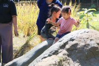 Little Farmer สำหรับนักเรียนชั้น อ.1/2568