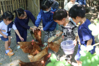 Little Farmer สำหรับนักเรียนชั้น อ.1/2568