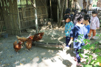 Little Farmer สำหรับนักเรียนชั้น อ.1/2568