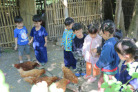 Little Farmer สำหรับนักเรียนชั้น อ.1/2568