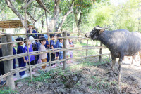 Little Farmer สำหรับนักเรียนชั้น อ.1/2568