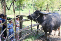 Little Farmer สำหรับนักเรียนชั้น อ.1/2568