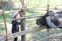 Little Farmer สำหรับนักเรียนชั้น อ.1/2568