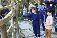 Little Farmer สำหรับนักเรียนชั้น อ.1/2568