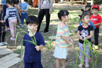 Little Farmer สำหรับนักเรียนชั้น อ.1/2568