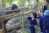 Little Farmer สำหรับนักเรียนชั้น อ.1/2568