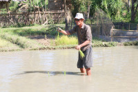 Little Farmer สำหรับนักเรียนชั้น อ.1/2568