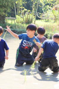 Little Farmer สำหรับนักเรียนชั้น อ.1/2568