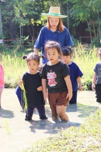 Little Farmer สำหรับนักเรียนชั้น อ.1/2568