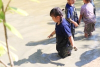 Little Farmer สำหรับนักเรียนชั้น อ.1/2568