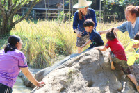 Little Farmer สำหรับนักเรียนชั้น อ.1/2568