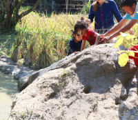 Little Farmer สำหรับนักเรียนชั้น อ.1/2568