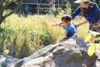 Little Farmer สำหรับนักเรียนชั้น อ.1/2568