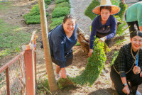 คณะศึกษาศาสตร์ มช. จัดกิจกรรมเนื่องในวันคล้ายวันพระบรมราชสมภพ พระบาทสมเด็จพระบรมชนกาธิเบศร มหาภูมิพลอดุลยเดชมหาราช บรมนาถบพิตร วันชาติ และวันพ่อแห่งชาติ ประจำปี 2568