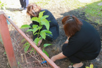 คณะศึกษาศาสตร์ มช. จัดกิจกรรมเนื่องในวันคล้ายวันพระบรมราชสมภพ พระบาทสมเด็จพระบรมชนกาธิเบศร มหาภูมิพลอดุลยเดชมหาราช บรมนาถบพิตร วันชาติ และวันพ่อแห่งชาติ ประจำปี 2568