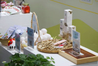 นิทรรศการ ทศมมหาราชา พระมหากรุณานำการพัฒนา สู่ความยั่งยืน 