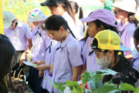 นิทรรศการ ทศมมหาราชา พระมหากรุณานำการพัฒนา สู่ความยั่งยืน 