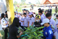 นิทรรศการ ทศมมหาราชา พระมหากรุณานำการพัฒนา สู่ความยั่งยืน 