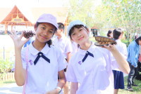 นิทรรศการ ทศมมหาราชา พระมหากรุณานำการพัฒนา สู่ความยั่งยืน 