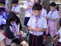 ITPC Day camp ป.ต้น /2568