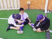 ITPC Day camp ป.ต้น /2568