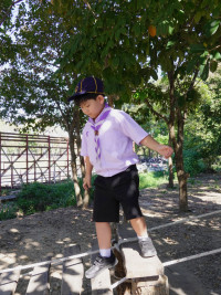 ITPC Day camp ป.ต้น /2568