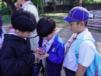 ITPC Day camp ป.ต้น /2568