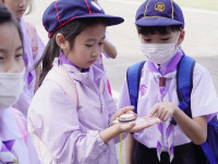 ITPC Day camp ป.ต้น /2568