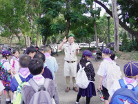 ITPC Day camp ป.ต้น /2568