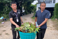 ศึกษาศาสตร์ มช. รับมอบพันธุ์ไม้จากศิษย์เก่า (รหัส 45) ร่วมสร้างพื้นที่สีเขียวและบรรยากาศแห่งการเรียนรู้