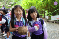 อัตลักษณ์ท้องถิ่น อ.2/2568 ณ Elephant PooPoo Paper Park