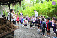 อัตลักษณ์ท้องถิ่น อ.2/2568 ณ Elephant PooPoo Paper Park