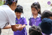 อัตลักษณ์ท้องถิ่น อ.2/2568 ณ Elephant PooPoo Paper Park