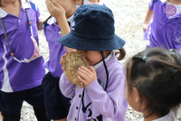 อัตลักษณ์ท้องถิ่น อ.2/2568 ณ Elephant PooPoo Paper Park