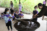 อัตลักษณ์ท้องถิ่น อ.2/2568 ณ Elephant PooPoo Paper Park