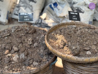 อัตลักษณ์ท้องถิ่น อ.2/2568 ณ Elephant PooPoo Paper Park